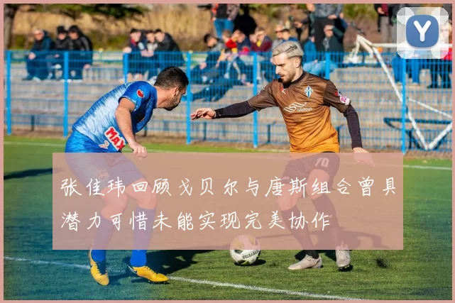 张佳玮回顾戈贝尔与唐斯组合曾具潜力可惜未能实现完美协作